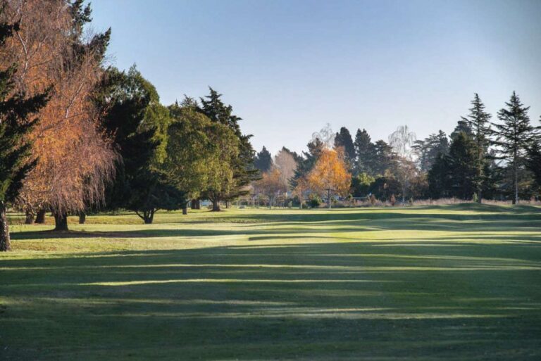 Corporate Golf